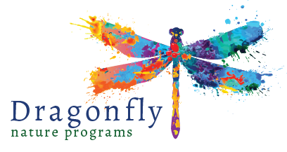 Dragonfly Logo - transparent background Image of Creative Edge logo.