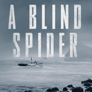 Book cover for 'A Blind Spider' by Moe Claire, featuring a foggy coastal scene with a boat.