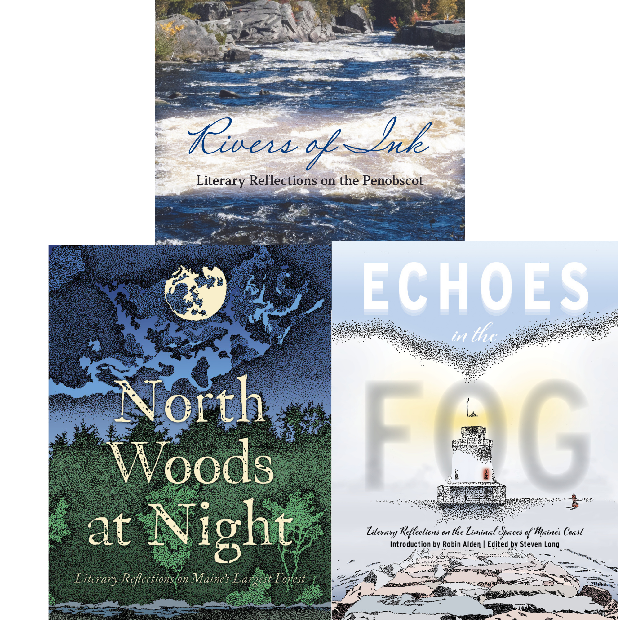 Children's book cover illustration with trees, a lake, and children exploring nature.