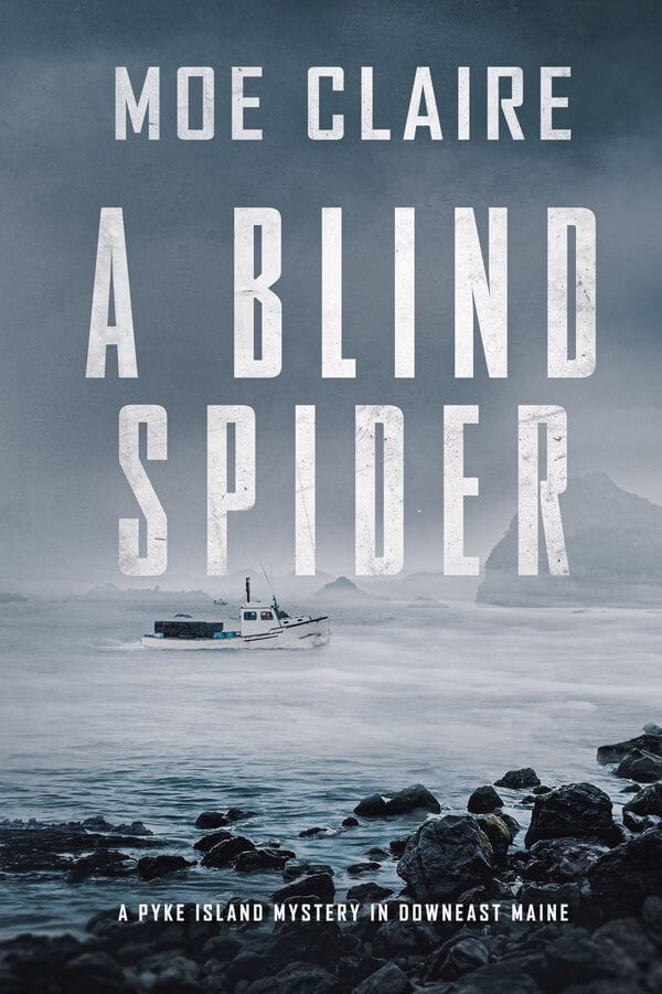 Book cover for 'A Blind Spider' by Moe Claire, featuring a foggy coastal scene with a boat.